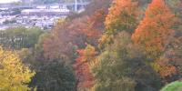 Fall colors drive tourism, October outperforms summer for visitors