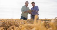 Ag graduates: Give yourself a leg up in job market