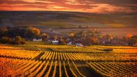 More than $32 million will preserve nearly 12,000 acres of New York farmland