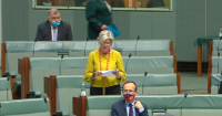 Australian MP critical but stable after deliberate attack
