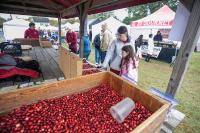 Cranberry Festival Offers Taste of Region’s Art, Culture