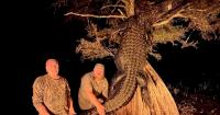 South Carolina Hunter Bags 844-Pound Gator
