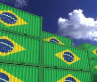 Brazil Newcastle Disease Outbreak Disrupts Poultry Exports