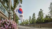Japan’s export growth stays solid, AI-chip trade and cars aid rise