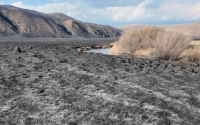 Authorities to Assess Numrug Fire Damage and Seek Compensation
