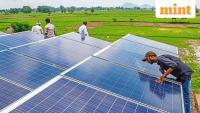 Centre to back agrivoltaics under PM KUSUM 2.0: MNRE secretary