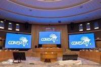 Comesa Summit: Zimbabwe eyes FDI rush