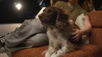 AirTouch promises ‘Comfort at a Touch’ in new campaign via Floodlight Agency + Czech Group