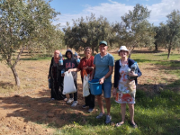 How Temu Is Helping an African Olive Oil Pioneer Scale Beyond Wholesale to Reach Consumers Across Europe