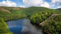 Near The Belgium-German Border Is An Unspoiled Forest Wilderness Brimming With Wildlife And Idyllic Lakes