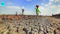 Farmer activists critise govt for delay in providing drought relief