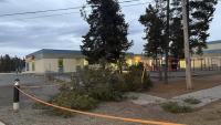 No one hurt after downed live wire traps Whitehorse students in nearby school bus