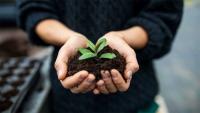 New South Wales Approves Human Composting Alternative