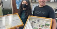 Art show highlights the overlooked beauty of Hawaiʻi's bugs