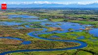 How Denmark restored 26 kilometres of the Skjern River and returned 2,200 hectares of farmland to marshland, bringing wildlife back