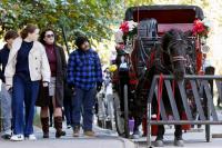 NYC’s foolish horse-carriage ban: Letters to the Editor — Oct. 22, 2026 