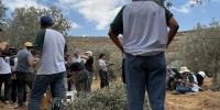Kansas City rabbi among about 80 detained by Israeli forces during West Bank olive harvest