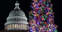 Idaho fourth grader wins contest to help light U.S. Capitol Christmas tree
