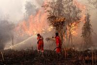 Eleven Indonesian companies probed over fires fuelling haze across region