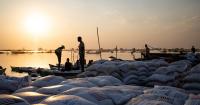 Sixty years of fighting hunger yielded results but another food crisis looms