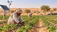 Punjab unveils £300,000 climate-resilient agriculture project for Cholistan and Thal