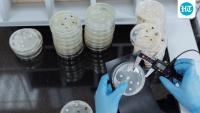 Bacteria that causes deadly Legionnaires’ disease discovered at LA Medical Examiner’s Office, employee tests positive