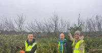 Children's hospice charity calling for 'tree-mendous' volunteers in Dorset