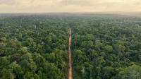 'The World's Greenest Country' Is A Tiny Forested Gem In South America With Pristine Beaches And A Rich Blend Of Cultures