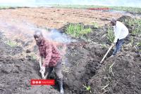 Farmers dig trenches to contain peat fire in Kabale wetland