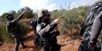 'Flat-Out Lying,' Israel Claims Palestinian Farmers, Brad Lander Entered Restricted Area Before Detention