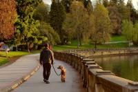 Vancouver named Canada's best city for an activity that all dogs love