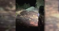 Heber storm damage prompts call for Arizona state of emergency declaration