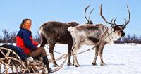Nailsworth explorer's magical Christmas film wins international recognition