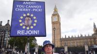 Europe ready to discuss Brexit reversal ‘in good faith’, says former EU chief