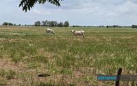 World : IPCC Delay Could Slow Southeast Asiaâ€™s Climate Planning, Says Malaysian Expert