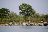 The other 70%: Why “30×30” won’t fix biodiversity loss on its own