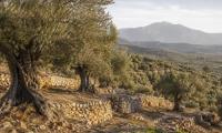 Thursday weather: Cyprus heats up to 29°C, because autumn is just a suggestion