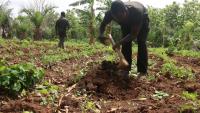 Ghana must prioritise agricultural extension services to boost food security – Dr Opoku Gakpo