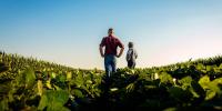 Trump's policies are putting the screws on American farmers