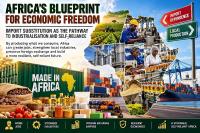 Africa’s Blueprint For Economic Freedom: Import Substitution As The Pathway To Industrialisation And Self-Reliance