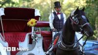 Some New Yorkers hail ban on horse-drawn carriages, but drivers fear for incomes