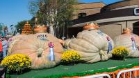 The Best Things To Do In Columbus This Weekend (October 23–25)