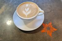 A Coffee Lover’s Guide to Pumpkin Spice Lattes in Honolulu