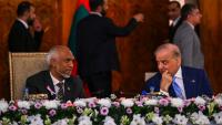 Pakistan's 100,000 olive cuttings for Maldives face pushback: 'Wrong tree for a tropical island'