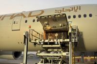 Etihad Cargo flies rescued bears from Russia to Ireland