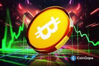 Bitcoin Treasuries Return to Profit Above $80K Cost Basis Yet Accumulation Stalls
