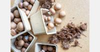 "These mushrooms are packaged in material derived from their cultivation medium"