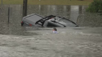Australian reporter saves driver as car sinks