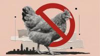 Mexico suspends Brazilian poultry imports after Newcastle disease outbreak