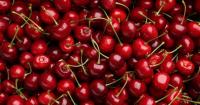 First Chilean cherries of the season land in China